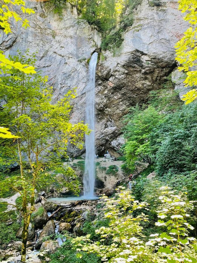 Ferienwohnungen Starmuz Obersammelsdorf Экстерьер фото