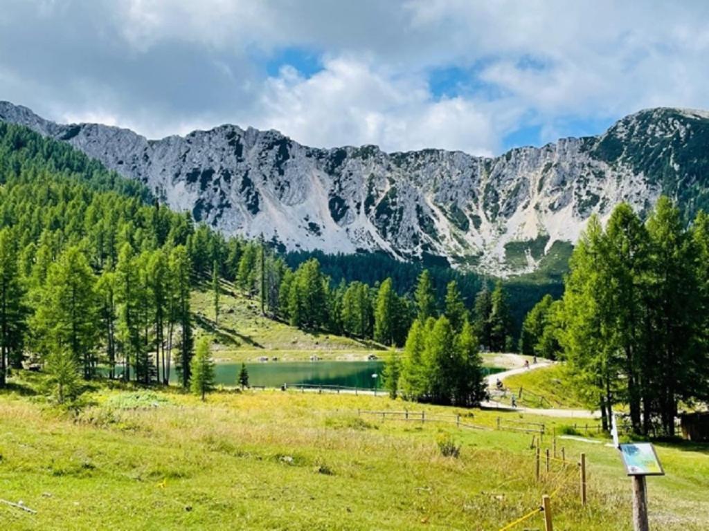 Ferienwohnungen Starmuz Obersammelsdorf Экстерьер фото